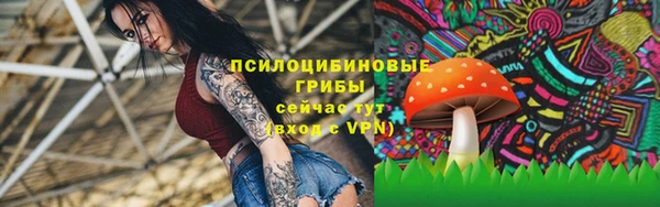 соль курить ск Новозыбков