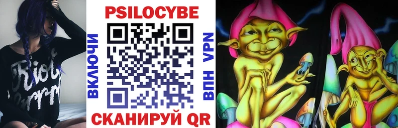 Псилоцибиновые грибы Psilocybine cubensis  Костерёво 